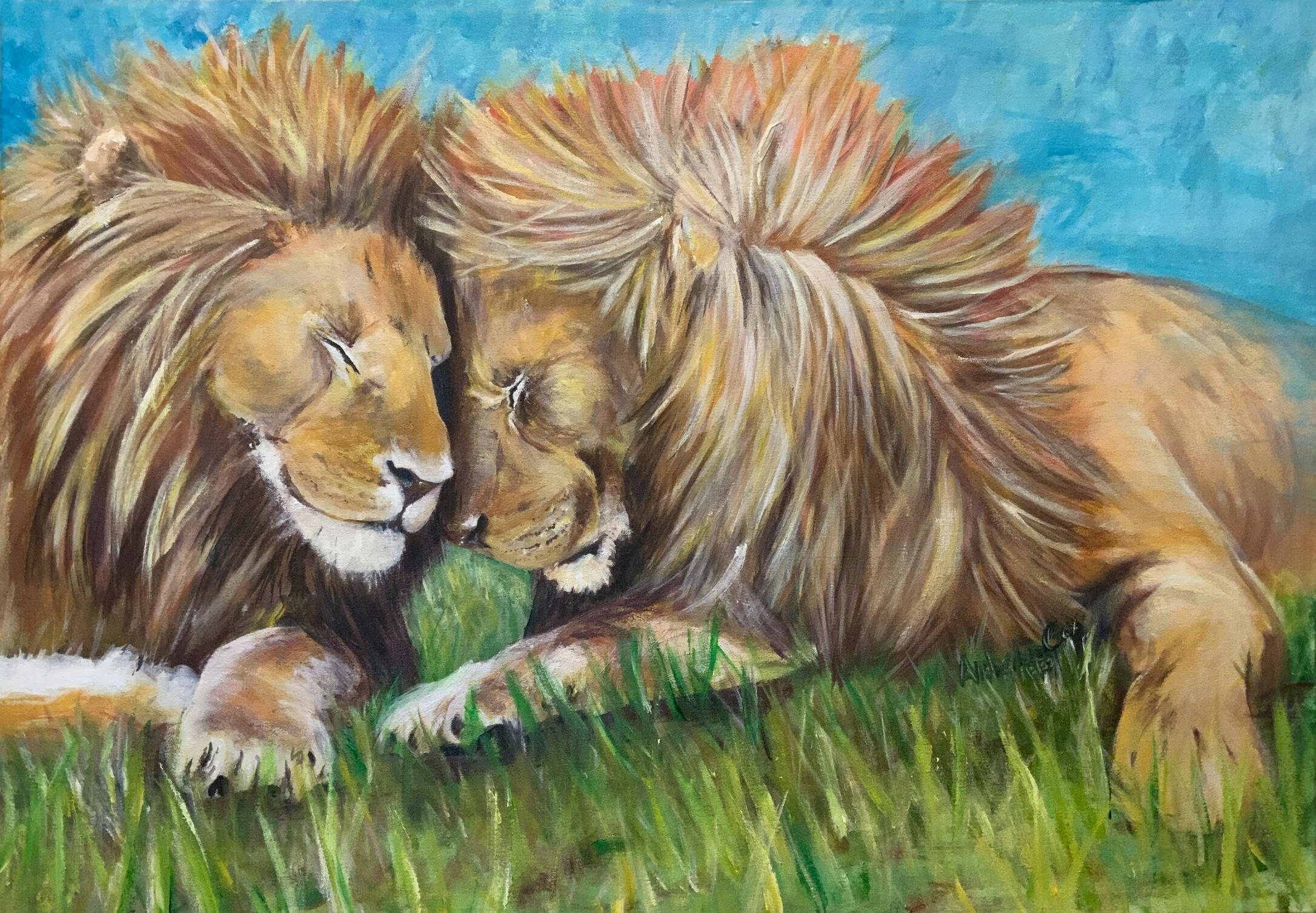 Two male lions sitting in the grass, butting heads. one on the right is older than the other. like a father and son.