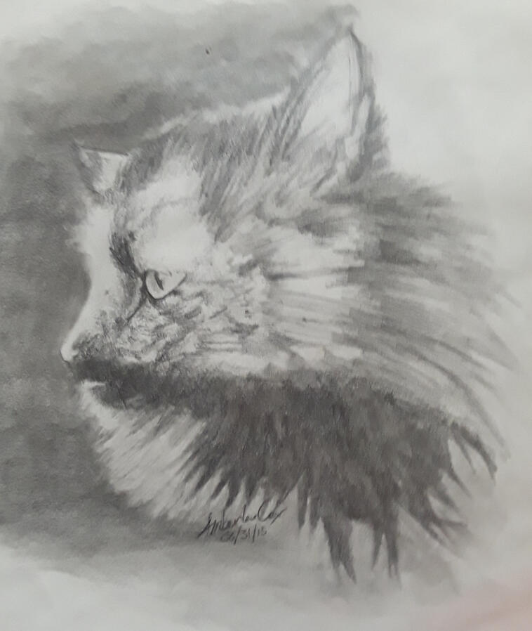 Specky: drawing on paper, by Amberlee C. Hales